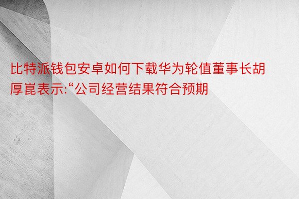 比特派钱包安卓如何下载华为轮值董事长胡厚崑表示:“公司经营结果符合预期
