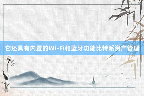 它还具有内置的Wi-Fi和蓝牙功能比特派资产管理